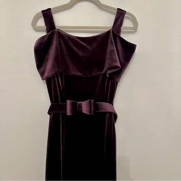 Nanette by Nanette Lepore Plum Moody Romance Velvet Dress (8) - Picture 5 of 10